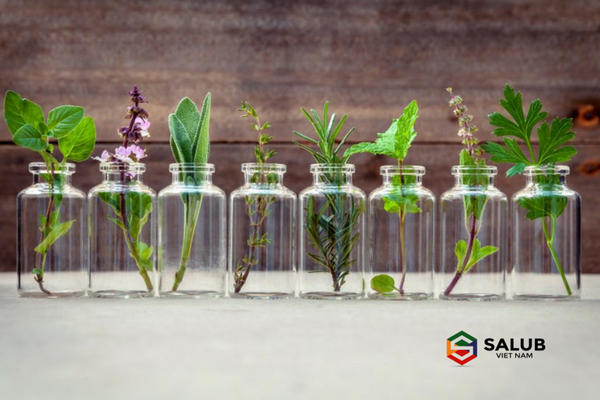 ai cap cai noi cua tinh dau thien nhien