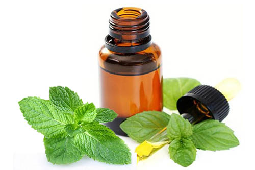 cach bao quan tinh dau nuoc hoa