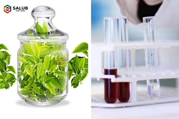 cach nhan biet tinh dau that gia 0