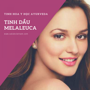 kham pha ngay 10 loi ich tuyet voi khi su dung tinh dau tra melaleuca