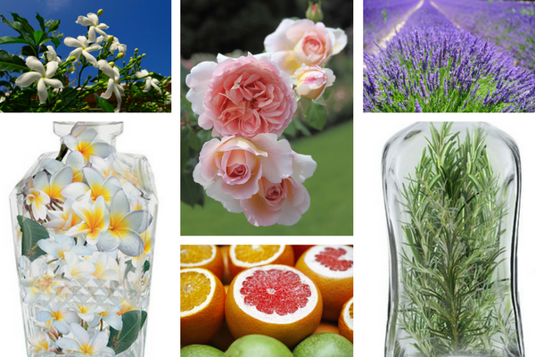 nhung loai tinh dau dung de san xuat nuoc hoa 13