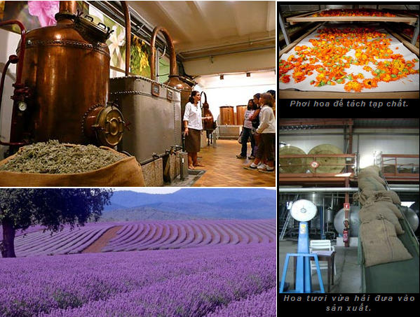 quy trinh san xuat nuoc hoa