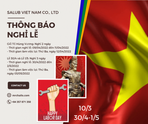 salub viet nam 2