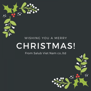 salub viet nam chuc mung giang sinh an lanh