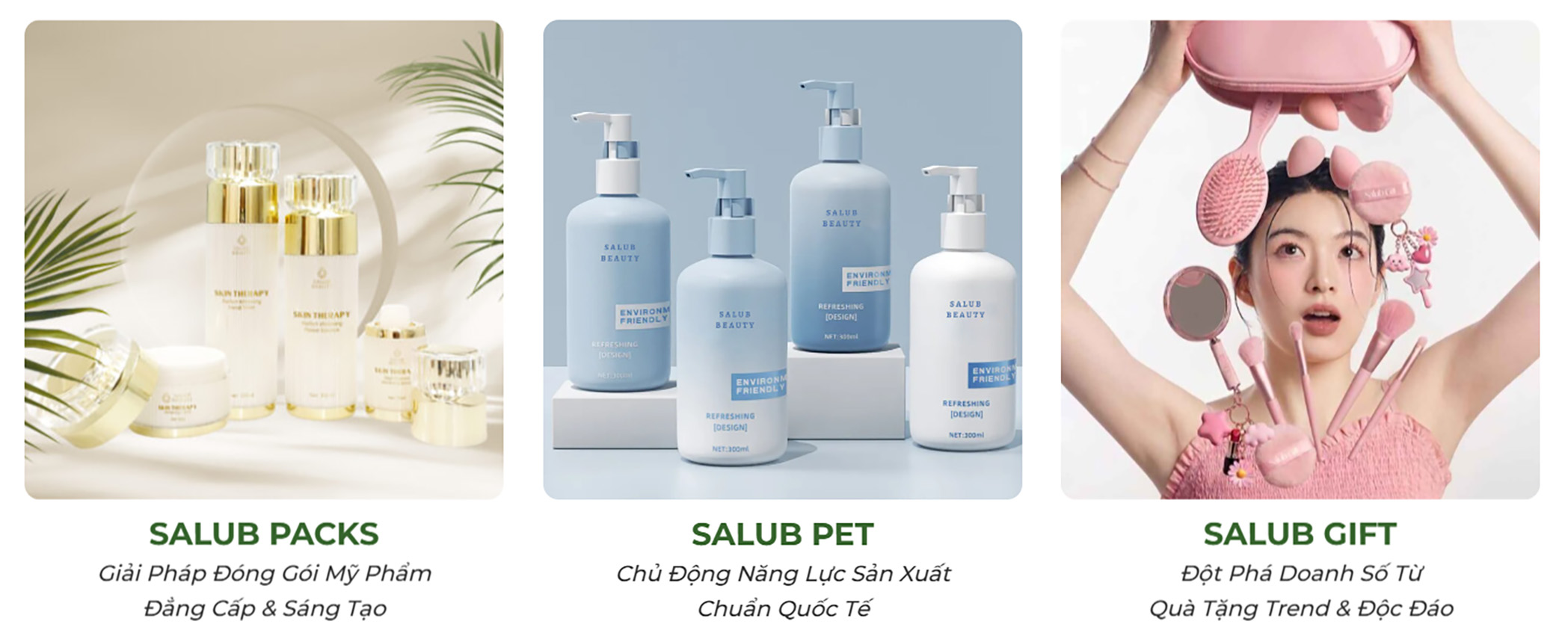 Hệ sinh thái Salub Việt Nam gồm Salub Packs, Salub PET và Salub Gift